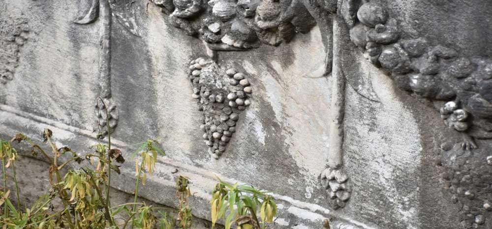 History of Wine
